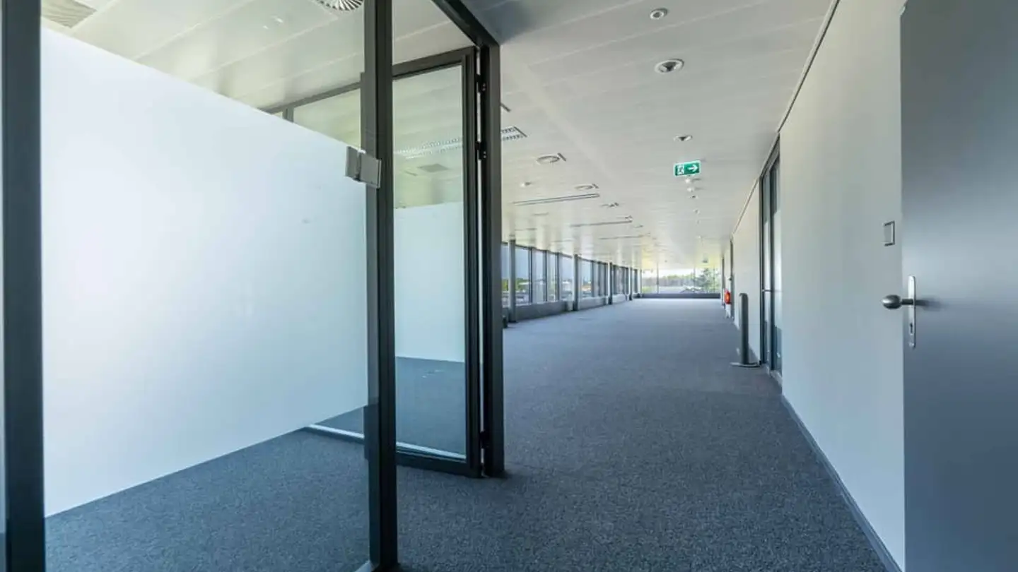 Commerciale in affitto - Chemin Du Château-Bloch 11, 1219 Le Lignon - Photo 3