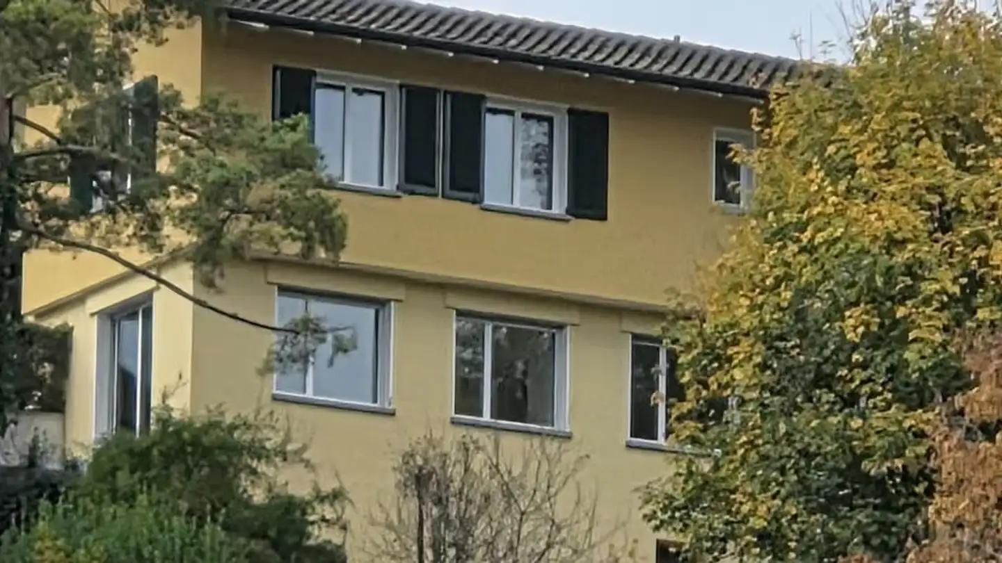 Single house for rent - Traubenweg 2, 8135 Langnau am Albis