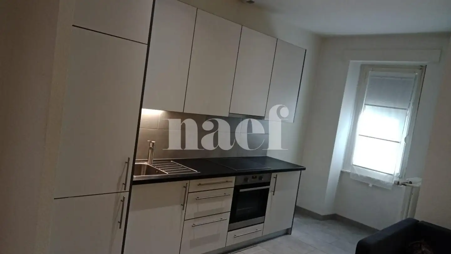 Appartement à louer - Rue Lamartine 30, 1203 Genève - Photo 3