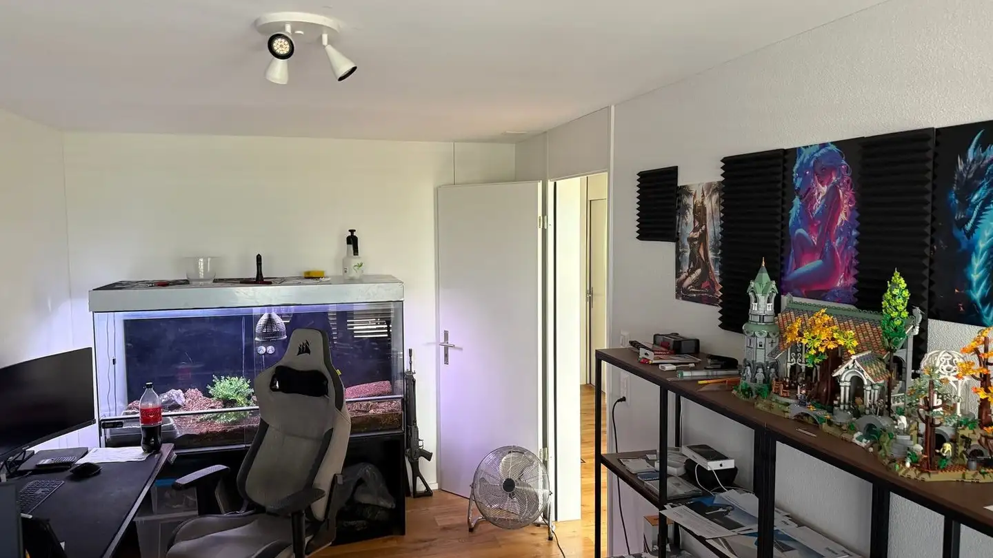 Wohnung mieten - Burgallee 9, 6247 Schötz