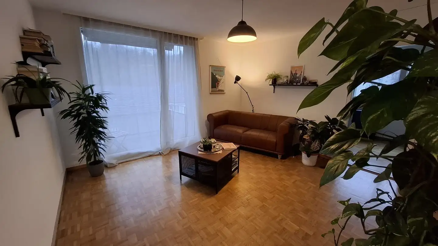 Wohnung mieten - 8046 Zürich