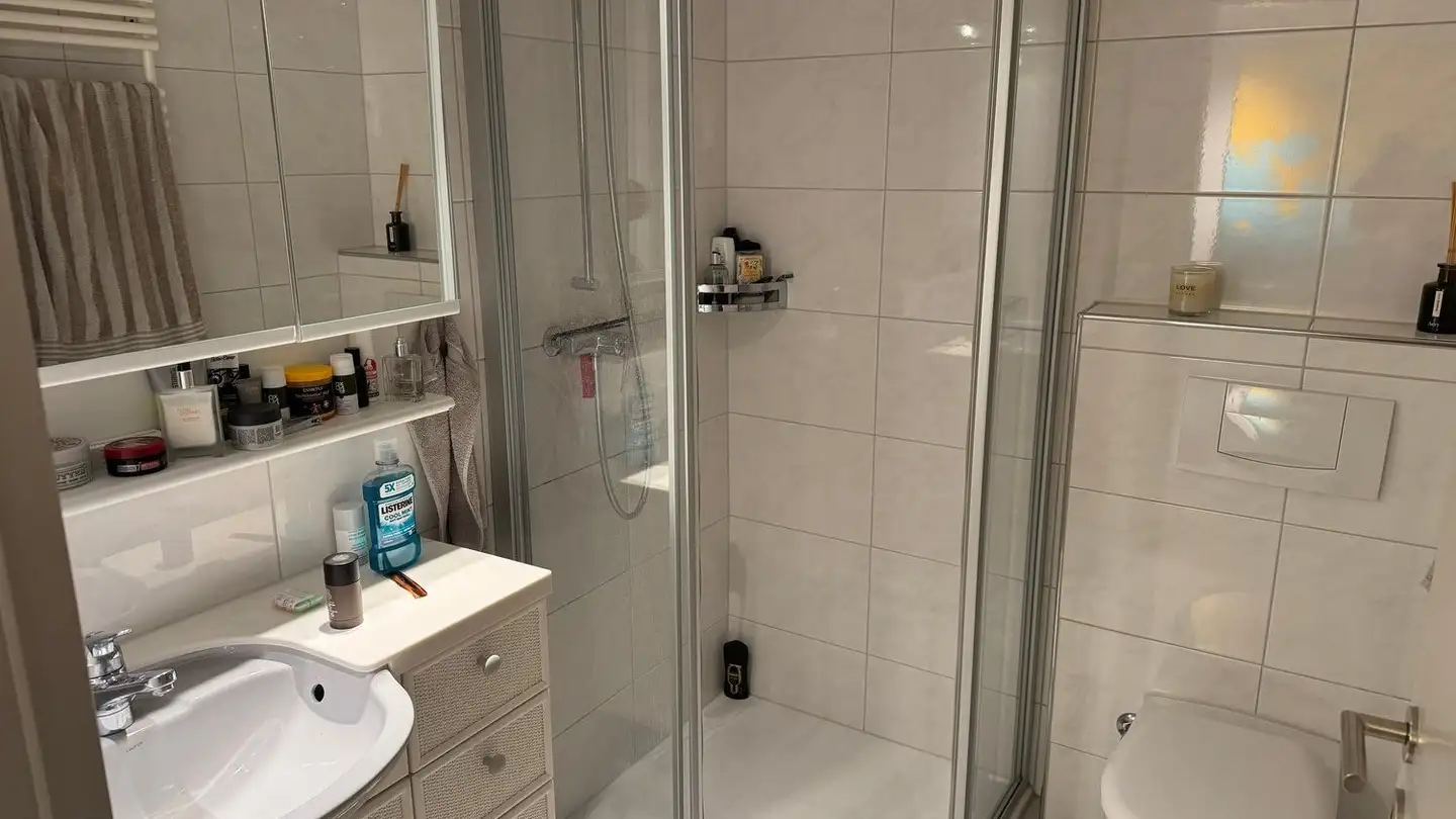 Appartamento in affitto - Lahnhalde 11, 8200 Schaffhausen - Foto 3