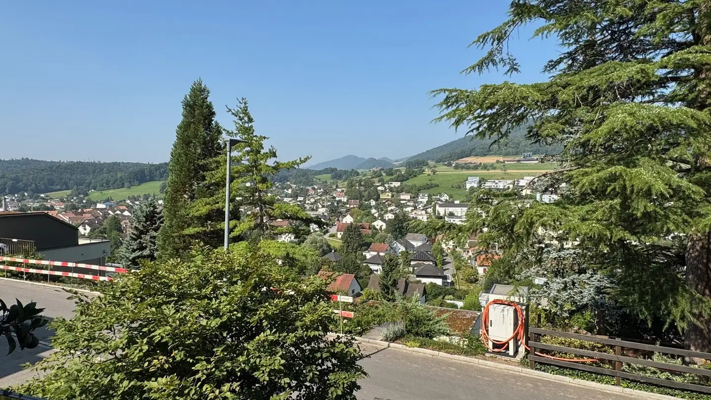 Appartamento in affitto - 5018 Erlinsbach - Photo 3