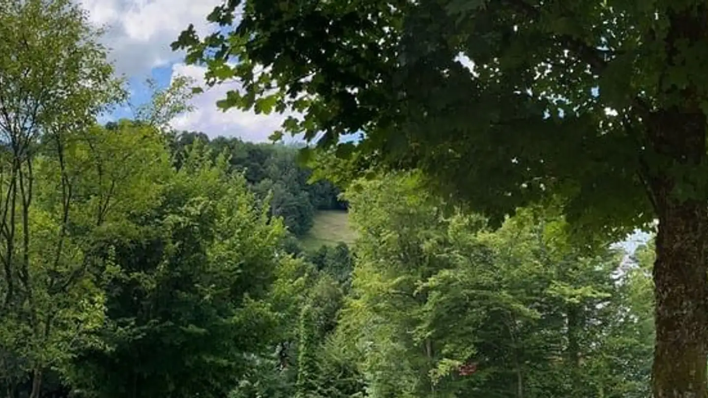 Appartamento in vendita - Hofwiesenstrasse 17, 8136 Gattikon