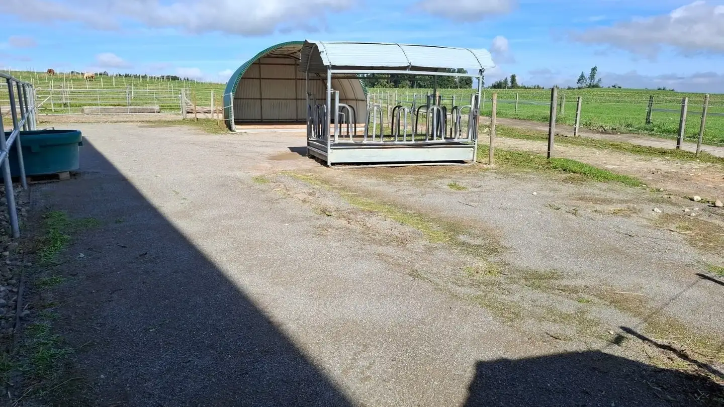 Commercial à louer - Route Du Village 17, 1772 Ponthaux - Photo 2