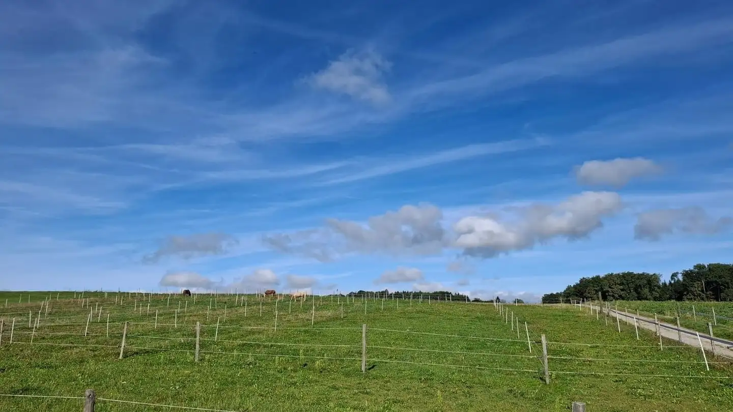 Commercial à louer - Route Du Village 17, 1772 Ponthaux - Photo 3