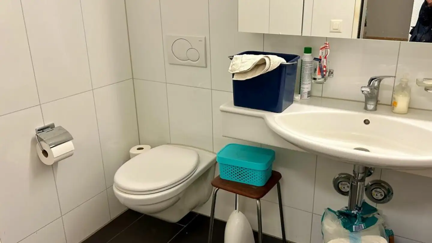 Commercial for rent - Unterdorf 25, 8914 Aeugst am Albis - Photo 4