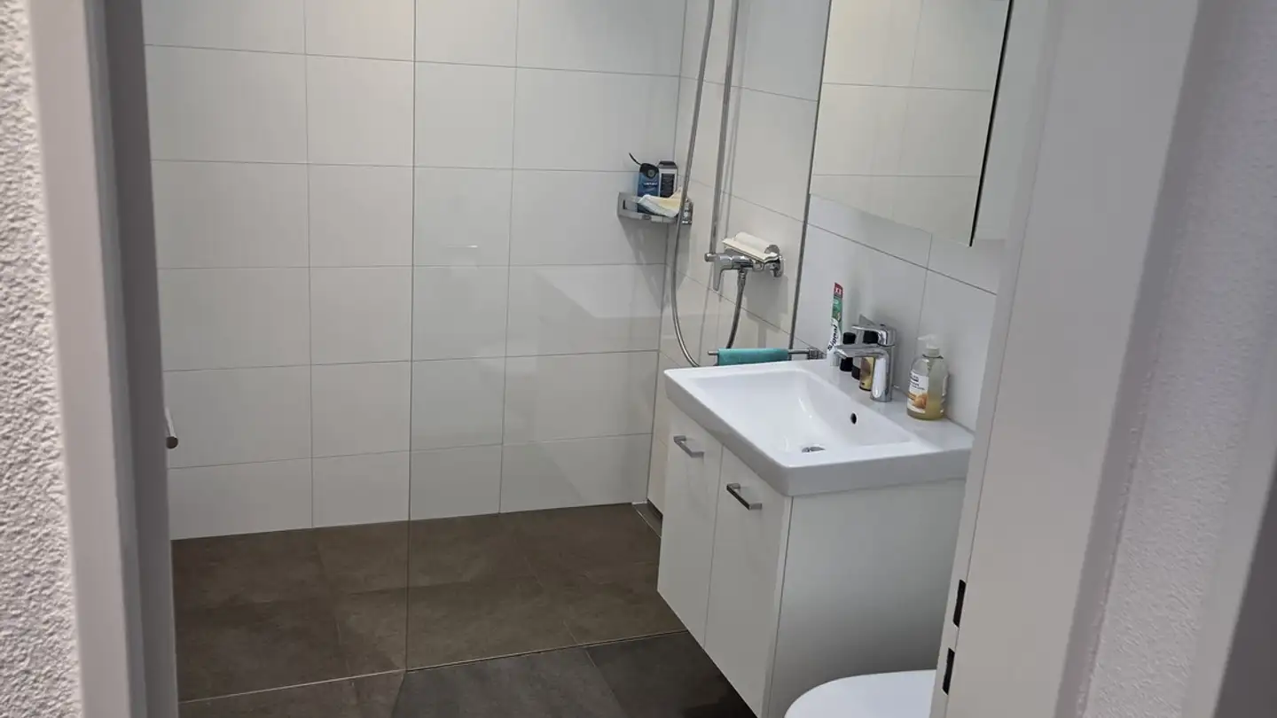 Appartamento ammobiliato in affitto - Hirschenmatt 5, 6038 Honau