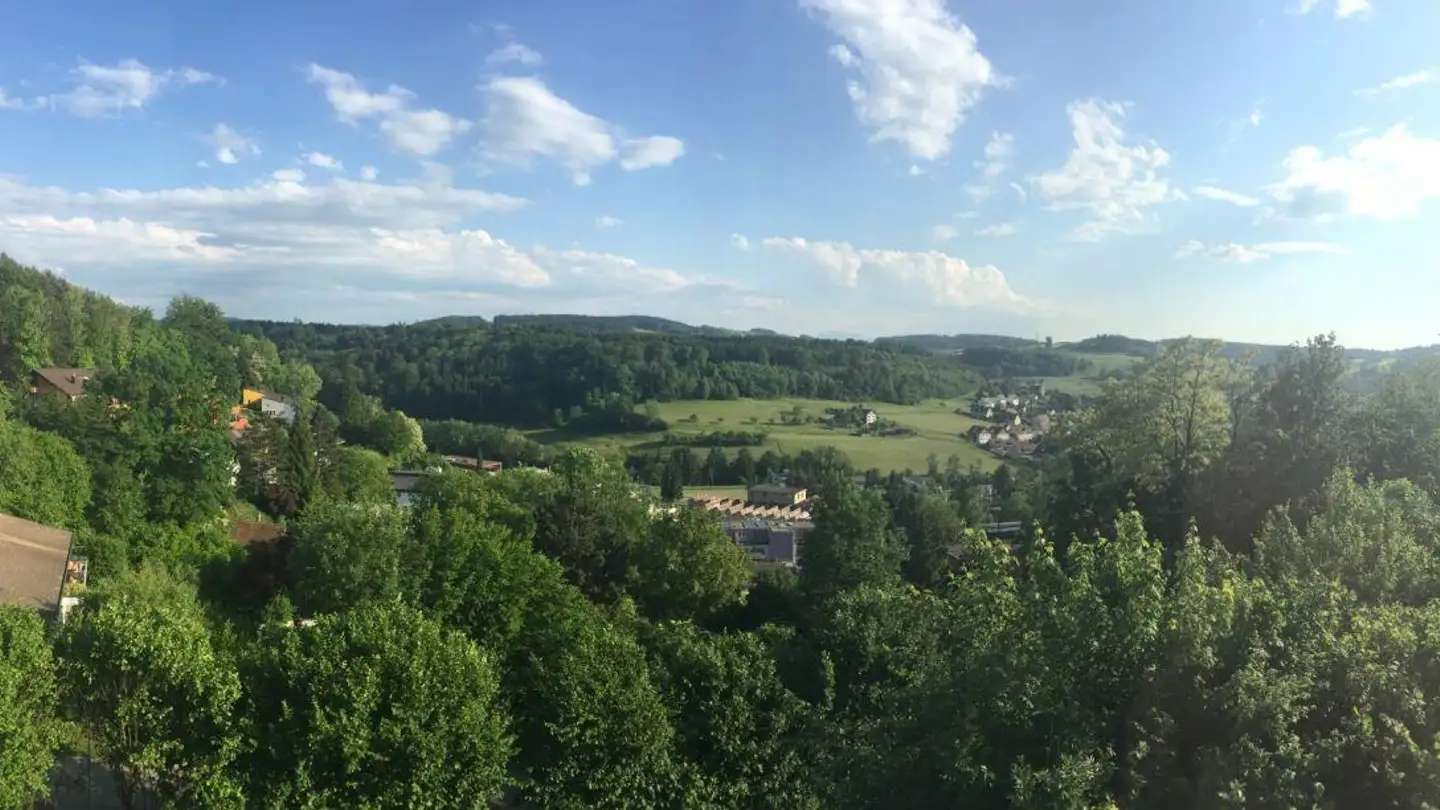 Wohnung mieten - Risistrasse 7, 8903 Birmensdorf ZH