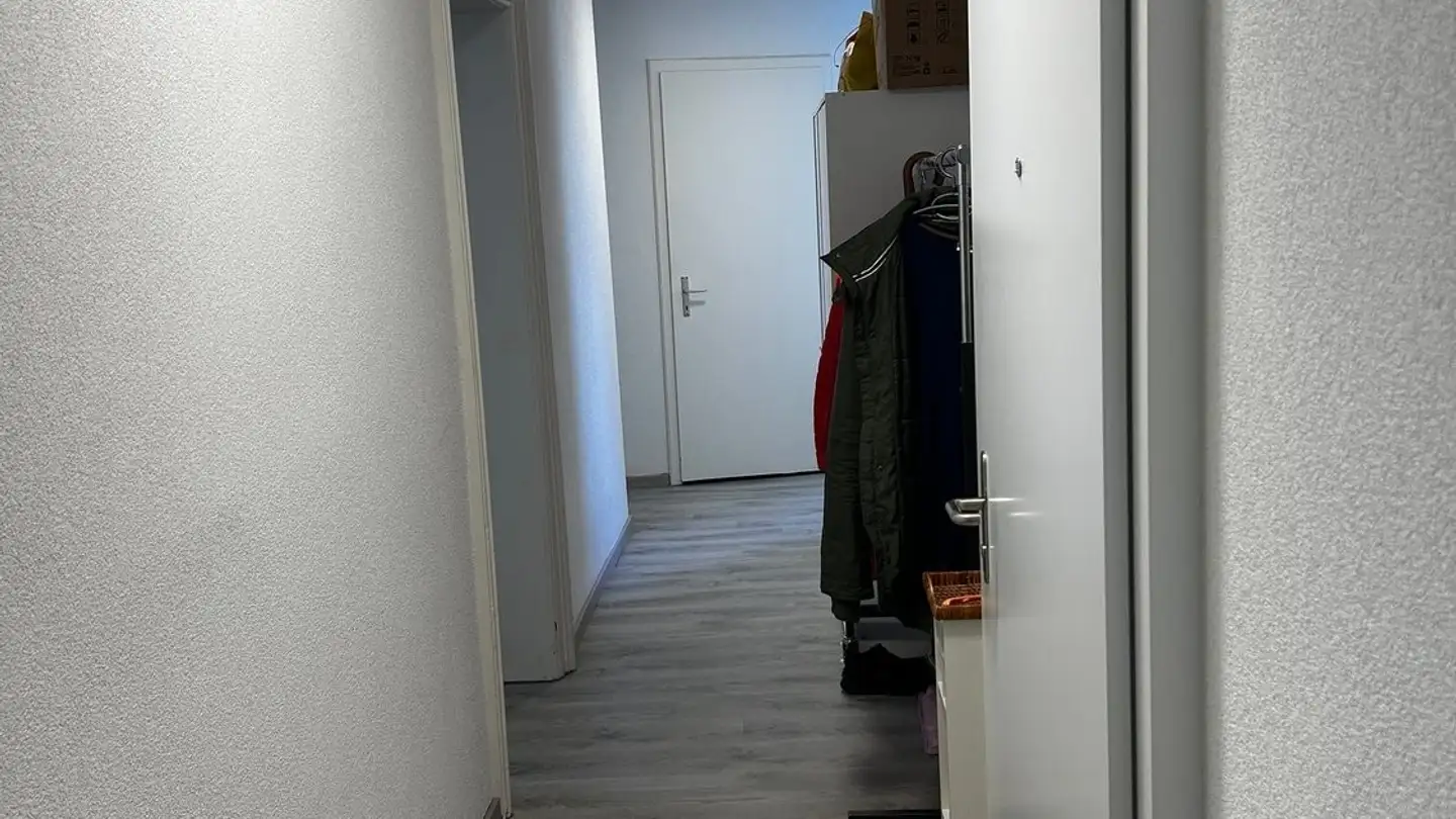 Appartamento in affitto - Uetlibergstrasse 30, 8045 Zürich - Foto 3