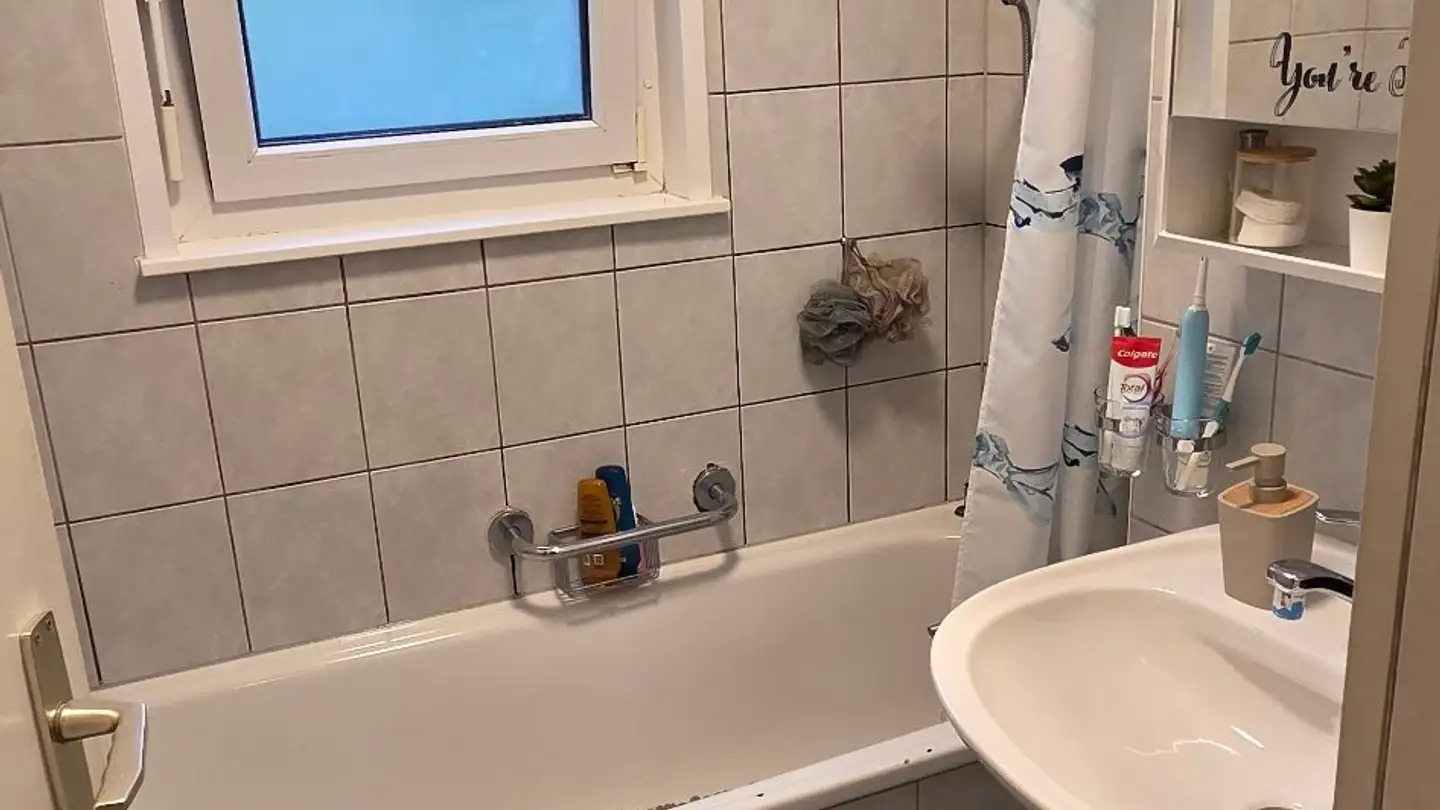 Wohnung mieten - Sentier De La Gare 8, 1020 Renens VD