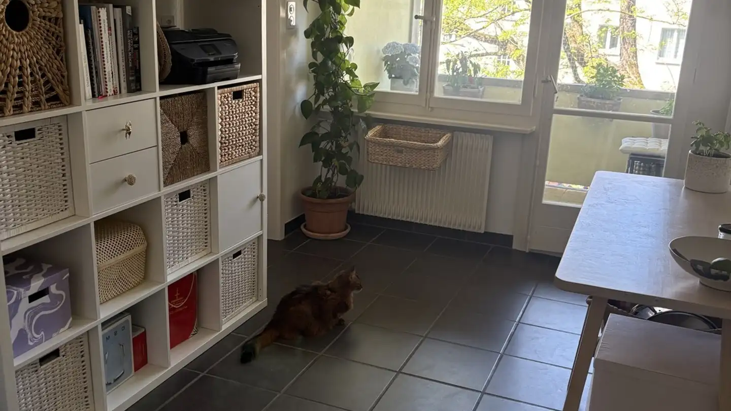 Single room for rent - Schenkstrasse 27, 3008 Bern - Photo 2