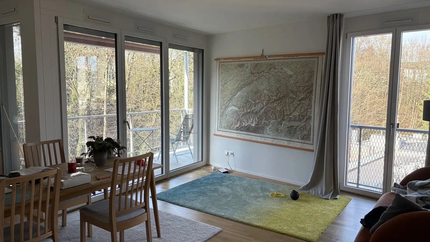 Appartamento in affitto - 8045 Zürich