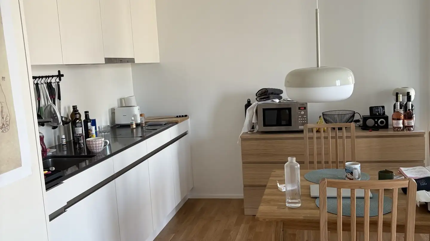 Appartamento in affitto - Austrasse 50, 8045 Zürich - Foto 4