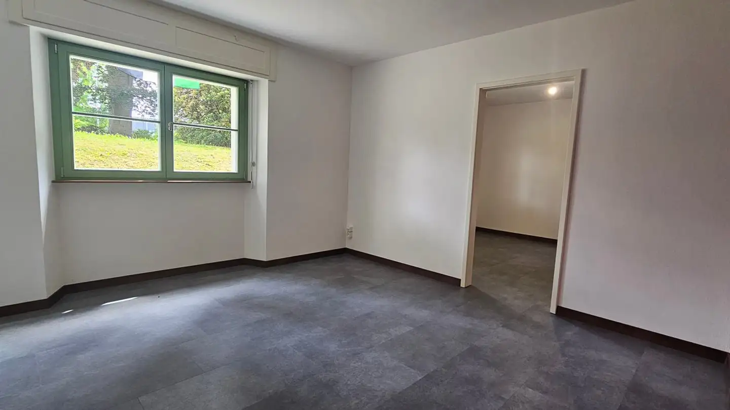 Spazio ufficio in affitto - Viale Dei Faggi, 6900 Lugano - Foto 2