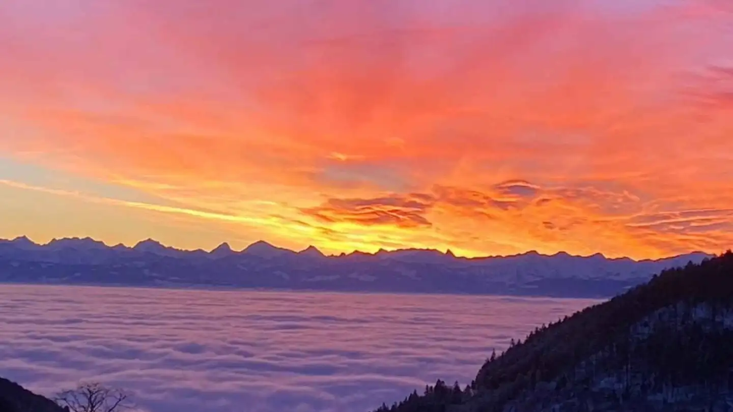 Wohnung kaufen - 1450 Ste-Croix