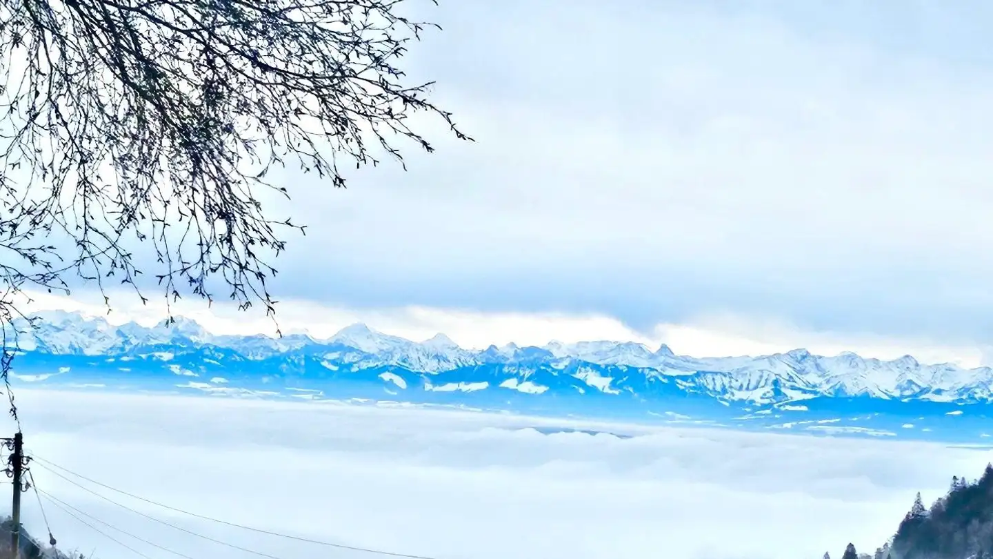 Mehrfamilienhaus kaufen - Rue Centrale, 1450 Ste-Croix - Foto 3