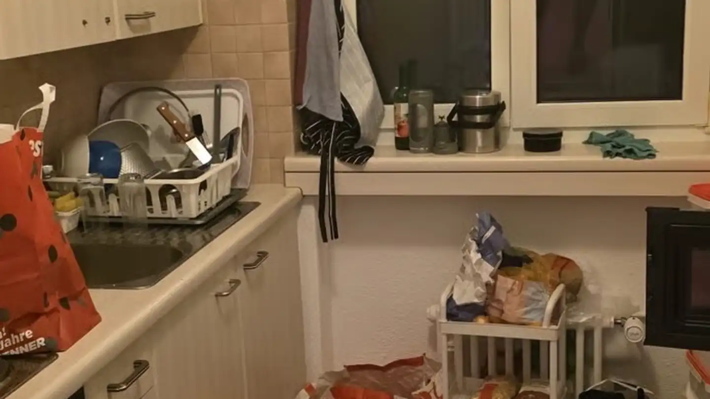 Appartement meublé à louer - 8953 Dietikon - Photo 3