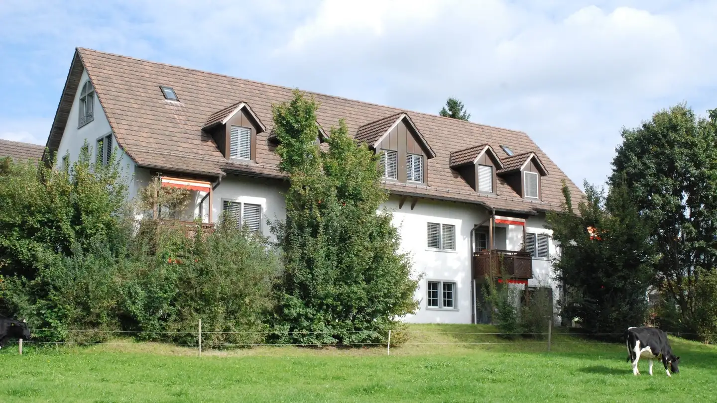 Duplex for rent - Zürcherstrasse 7, 8604 Volketswil