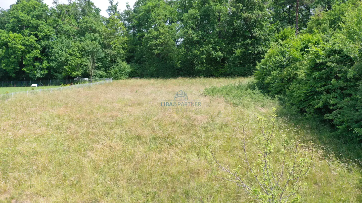 Terreno edificabile in vendita - In Den Reben, 4114 Hofstetten SO - Foto 2