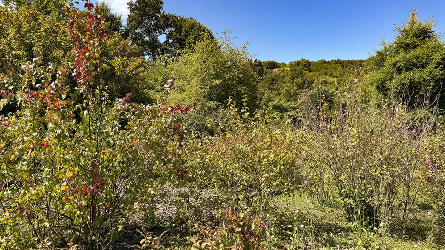 Villa for sale - 1422 Grandson