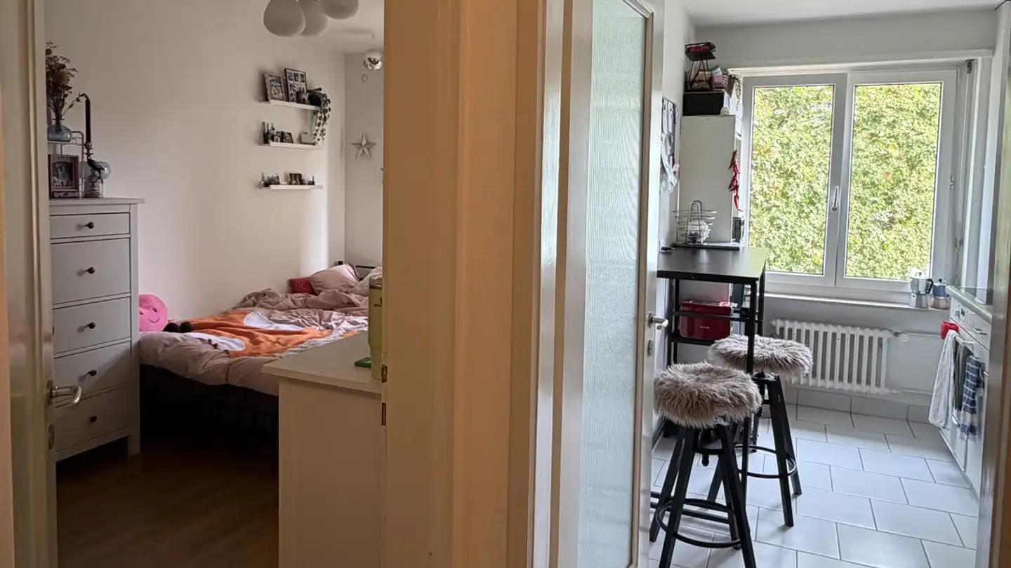 Appartamento in affitto - Sulzbergstrasse 8, 8400 Winterthur - Foto 4