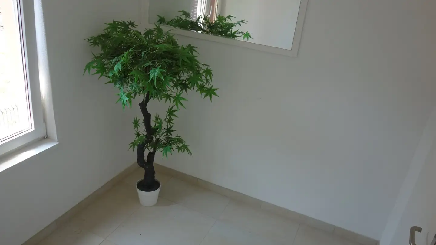 Appartement à louer - Hauptstrasse 24a, 9400 Rorschach - Photo 2