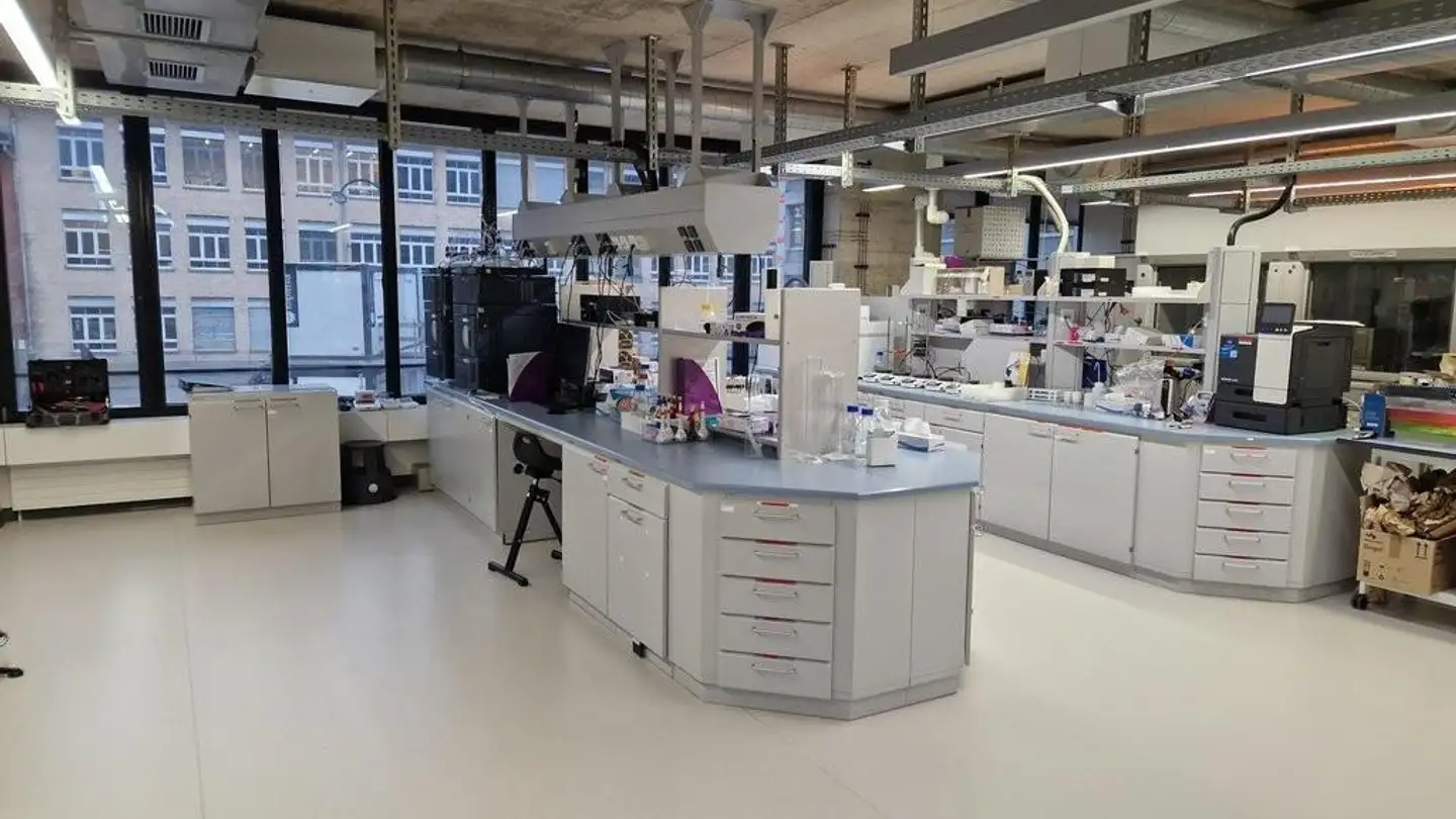 Spazio ufficio in affitto - 8400 Winterthur - Foto 2