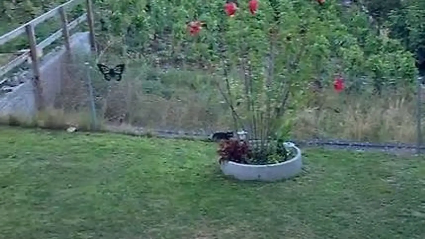 Einfamilienhaus mieten - Rue Du Moulin 34, 1963 Vétroz - Foto 4