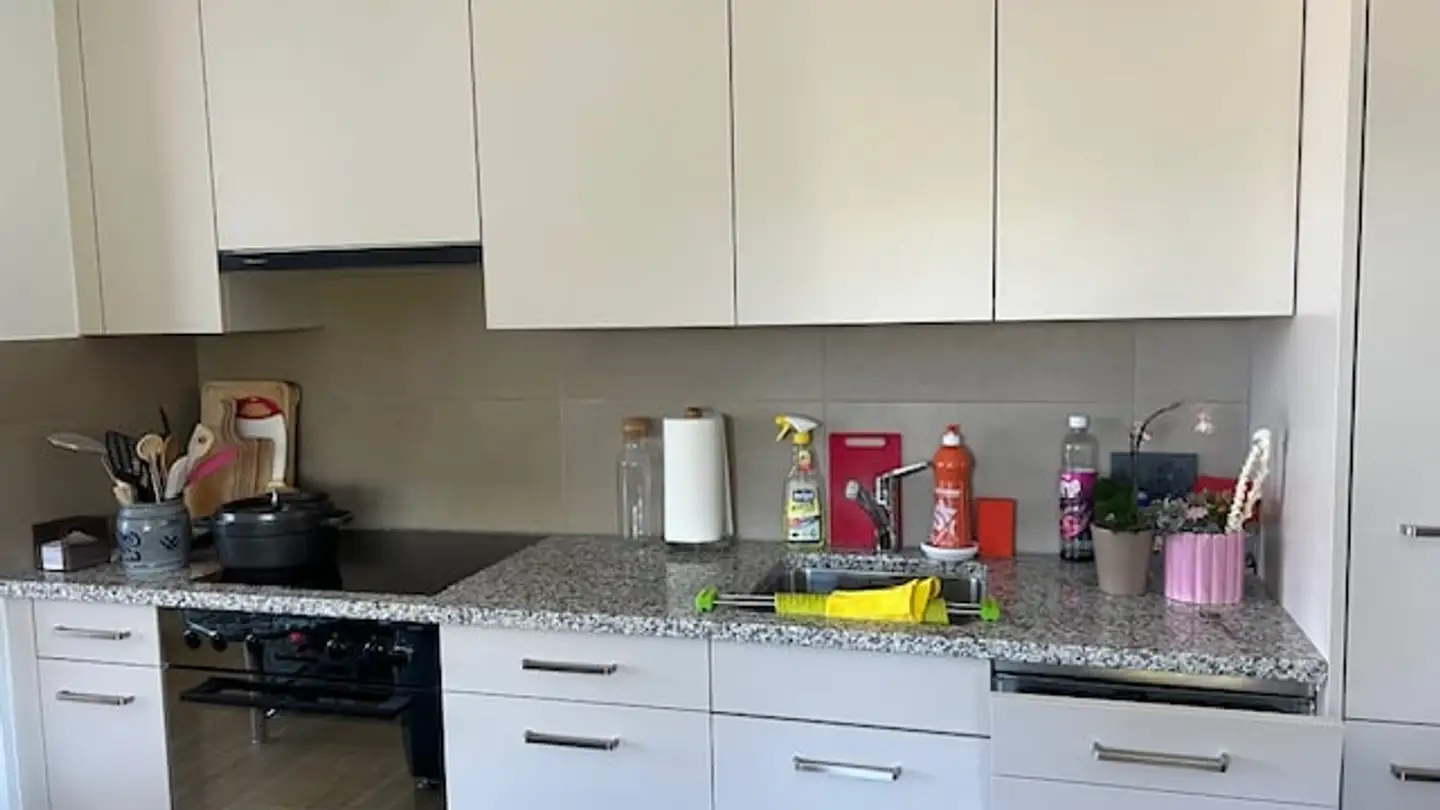 Appartamento in affitto - Schönbühlstrasse 3, 8200 Schaffhausen - Foto 4