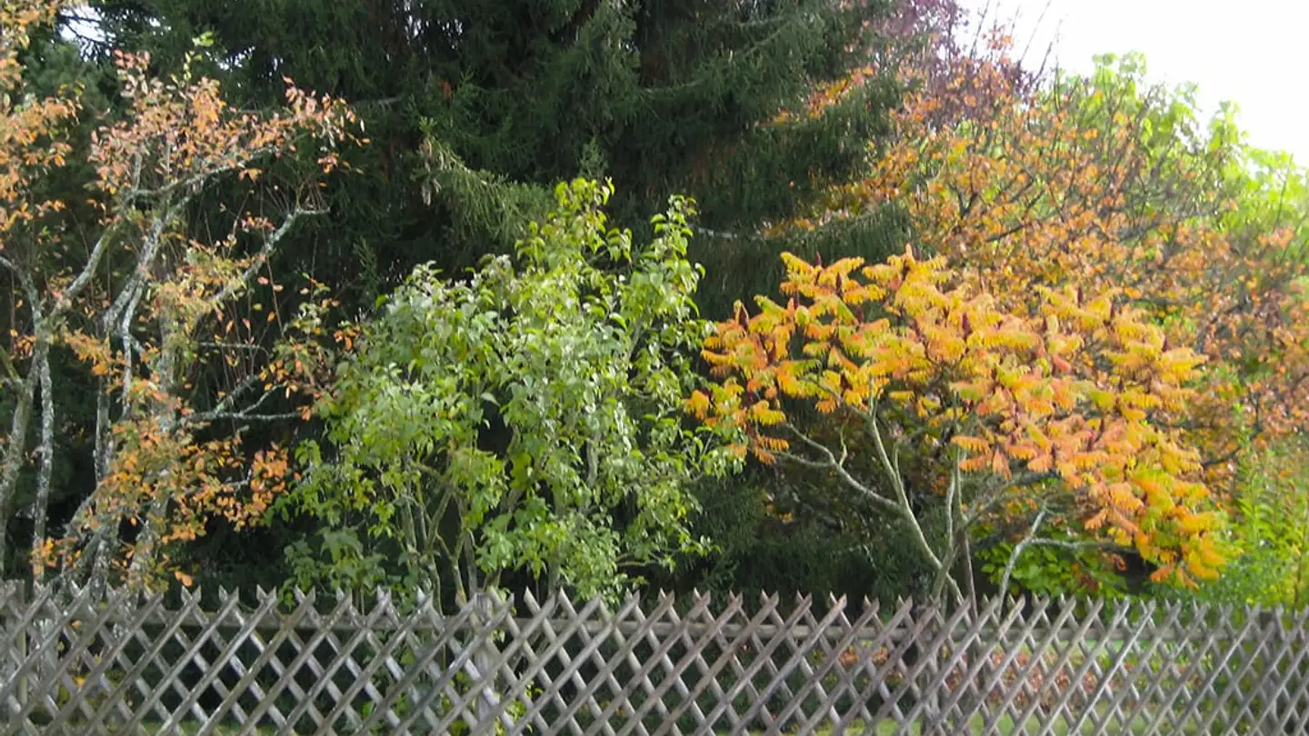 Maison individuelle à vendre - 1522 Lucens - Photo 3