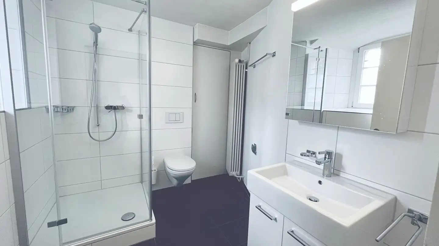 Proprietà industriale in affitto - Herrengasse 6, 6460 Altdorf UR - Photo 3