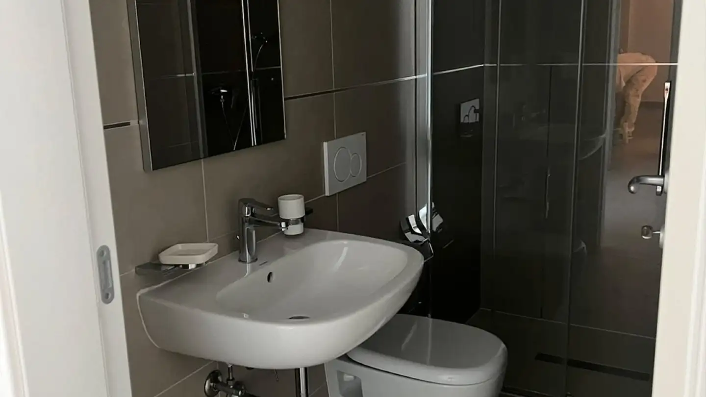 Appartamento in affitto - Via Cantonale 102, 6818 Melano - Foto 4