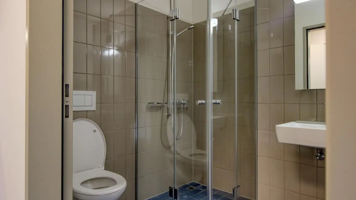 Studio for rent - 8952 Schlieren - Photo 4