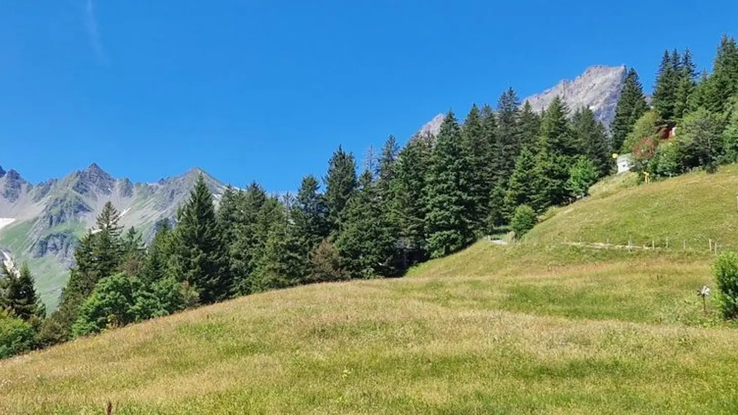 Constructible plot for sale - Brüsti, 6468 Attinghausen - Photo 2