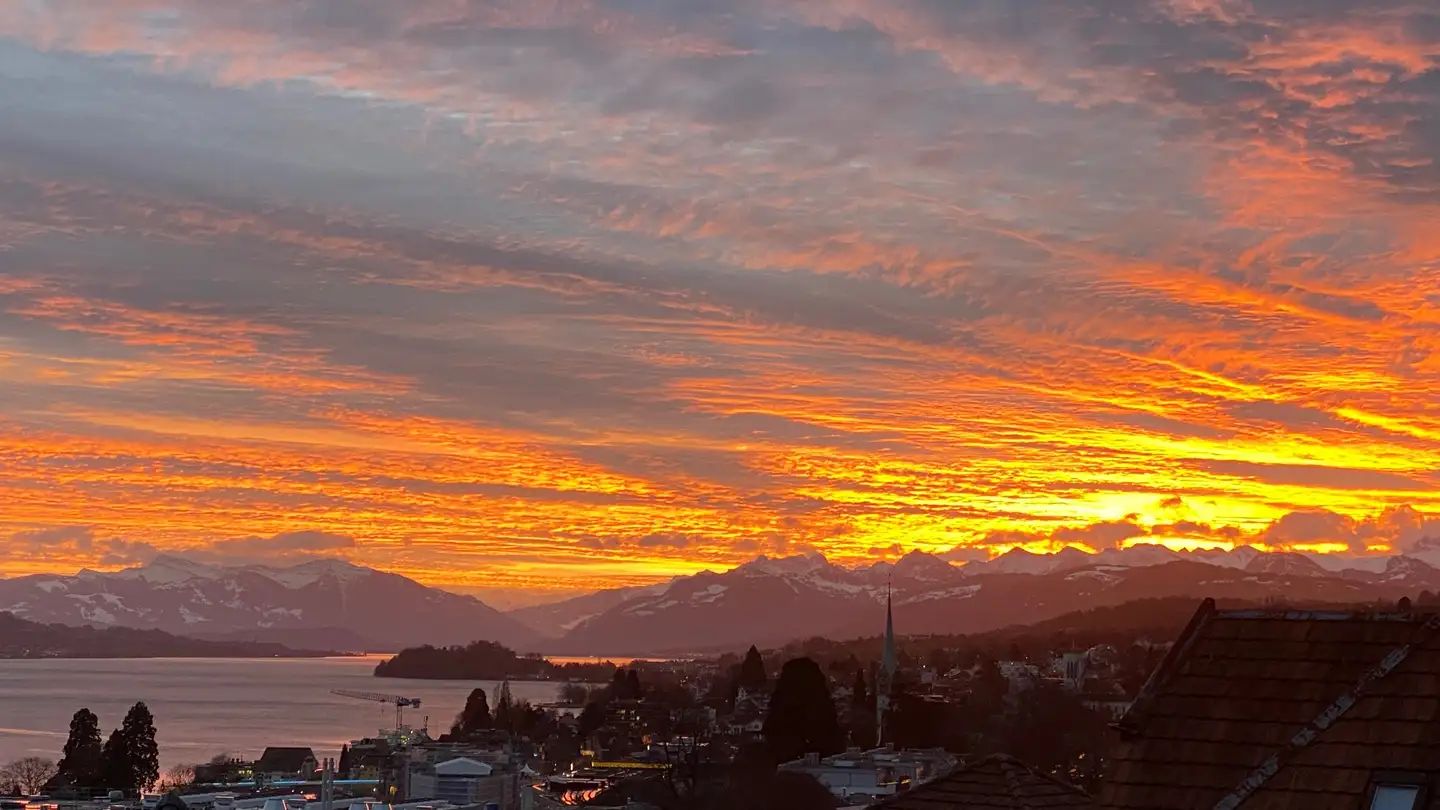 Penthouse mieten - 8810 Horgen