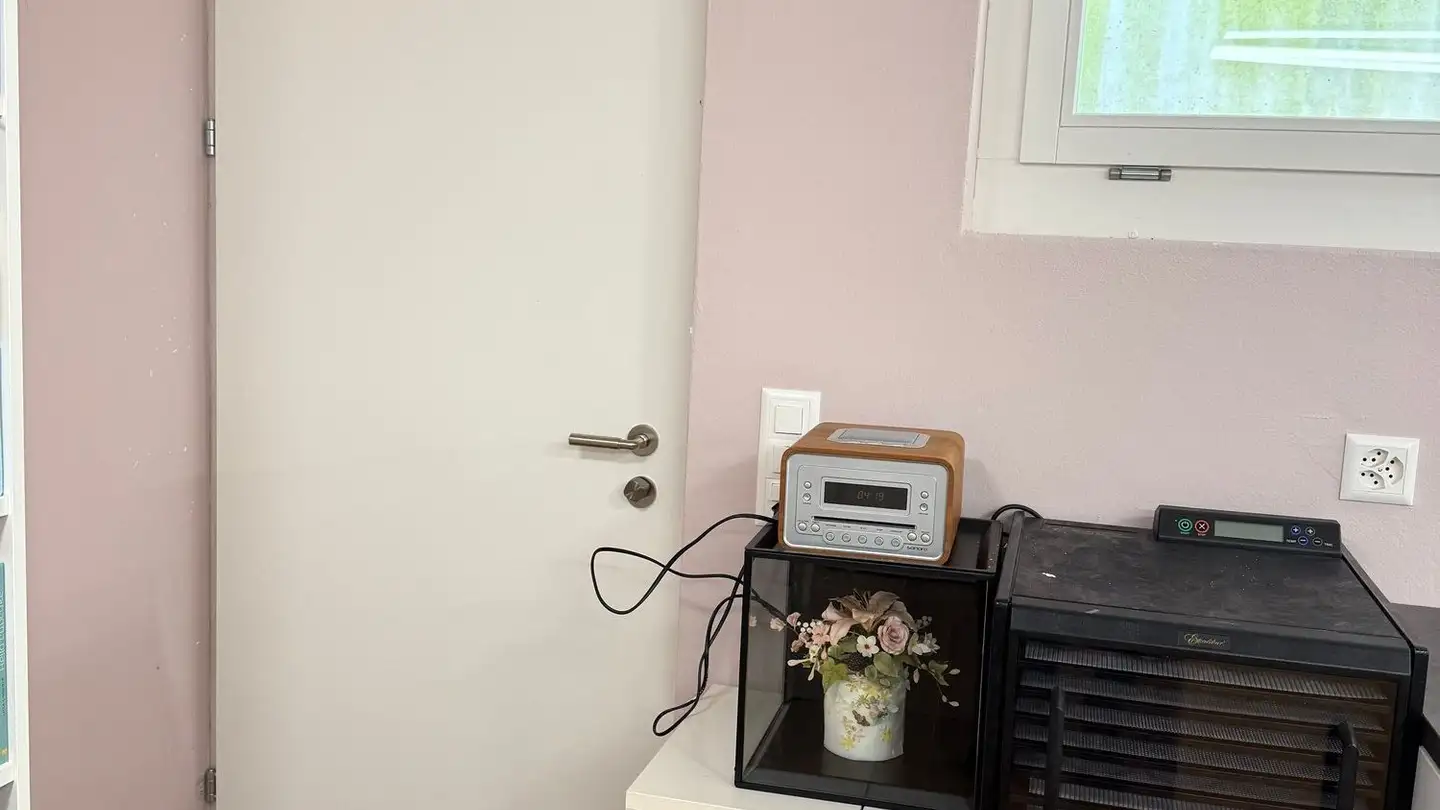 Sala hobby in affitto - Rebenackerstrasse 1, 8360 Eschlikon TG - Foto 3