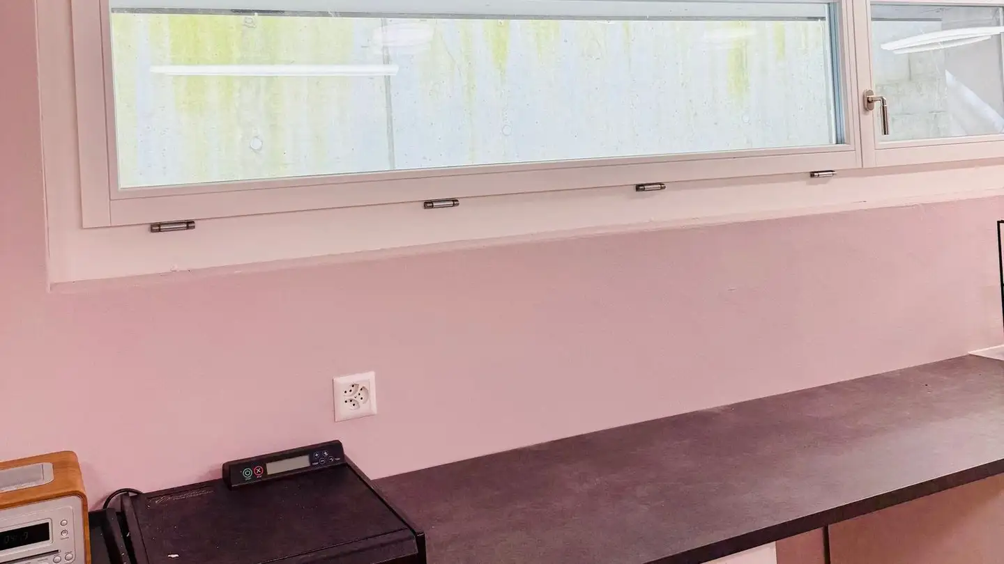 Sala hobby in affitto - Rebenackerstrasse 1, 8360 Eschlikon TG - Foto 4