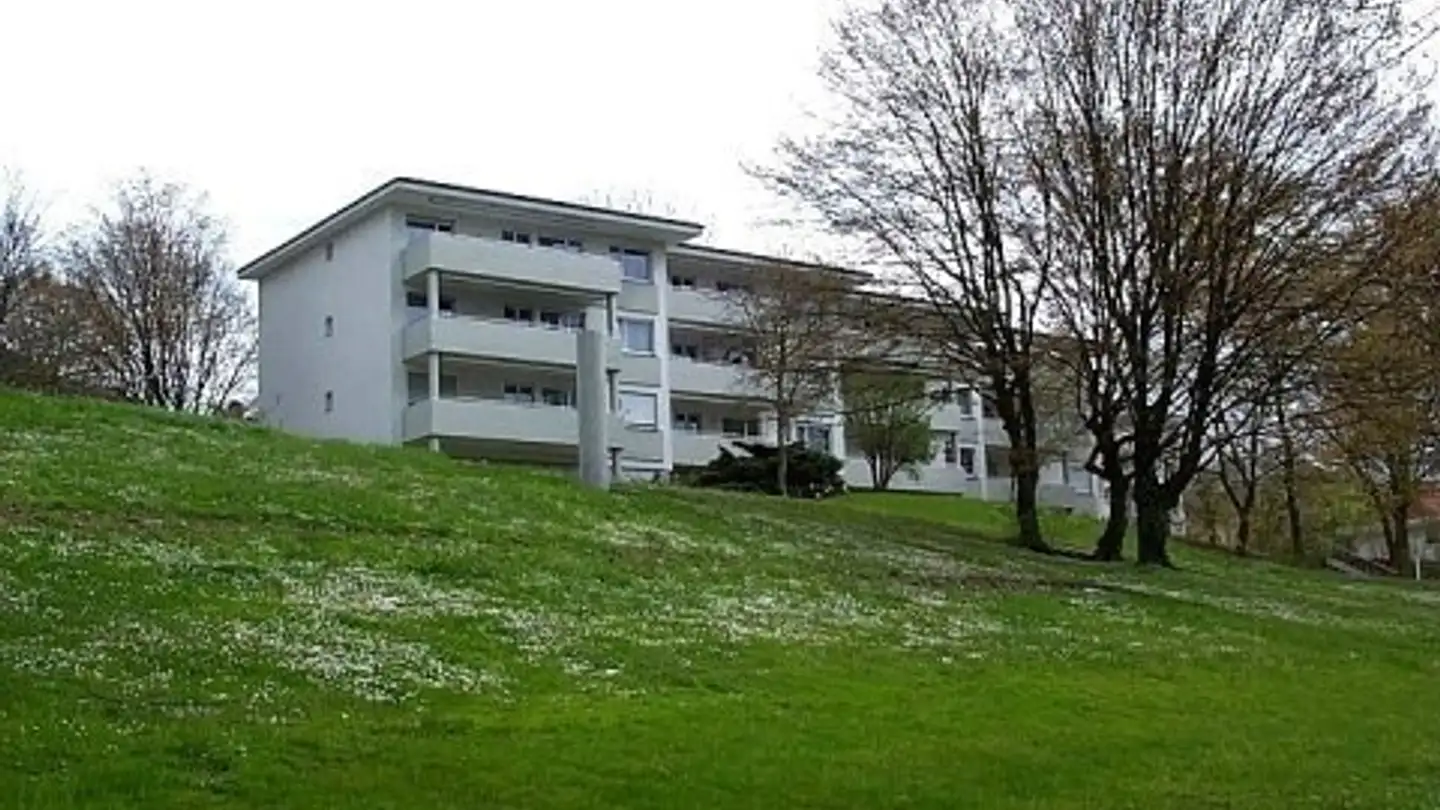 Appartement à louer - Wildenstrasse, 8049 Zürich