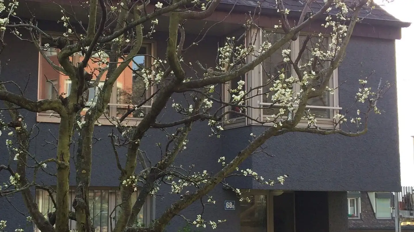 Apartment for rent - Witikonerstrasse 68e, 8032 Zürich - Photo 2