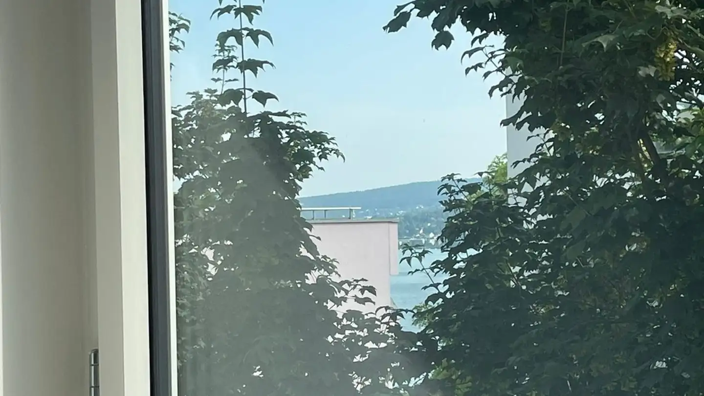 Single room for rent - Seidenstrasse 11, 8800 Thalwil - Photo 4