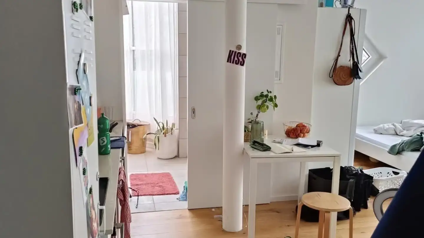Appartamento in affitto - Tösstalstrasse 163, 8400 Winterthur