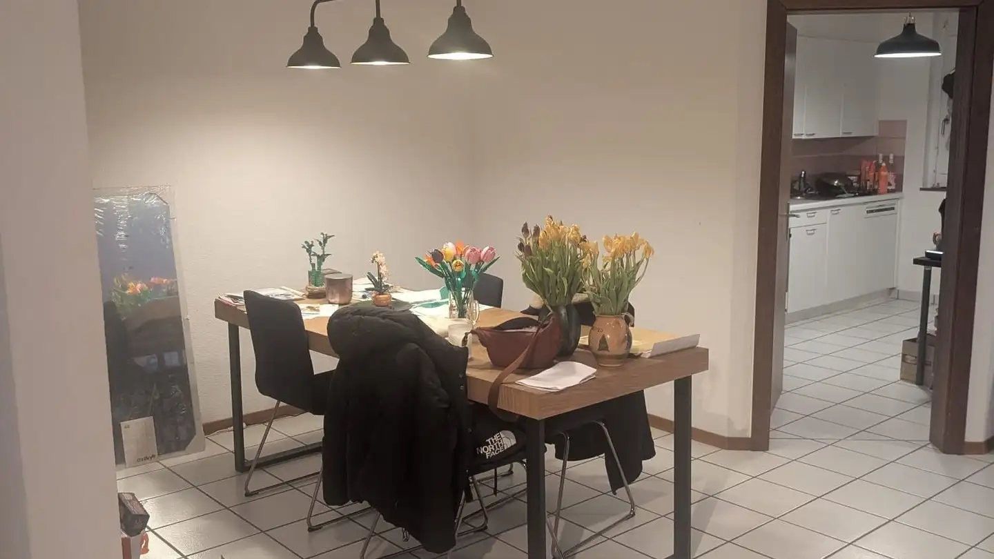 Appartamento a gradini in affitto - Quartier De La Prairie, 1400 Yverdon-les-Bains