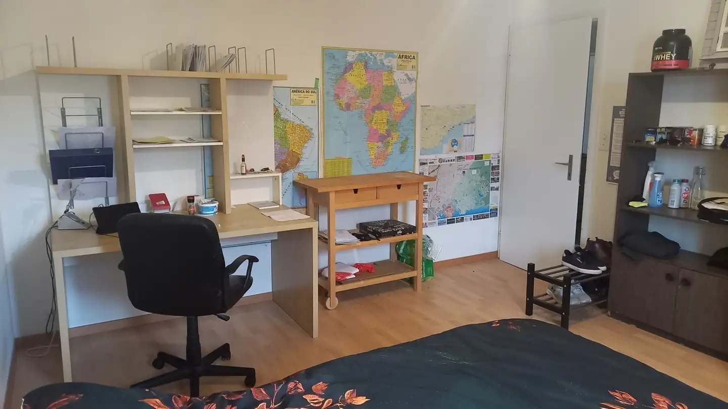 Single room for rent - Luegislandstrasse 410, 8051 Zürich - Photo 3