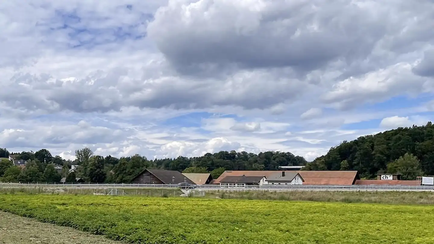 Villa for sale - 5507 Mellingen