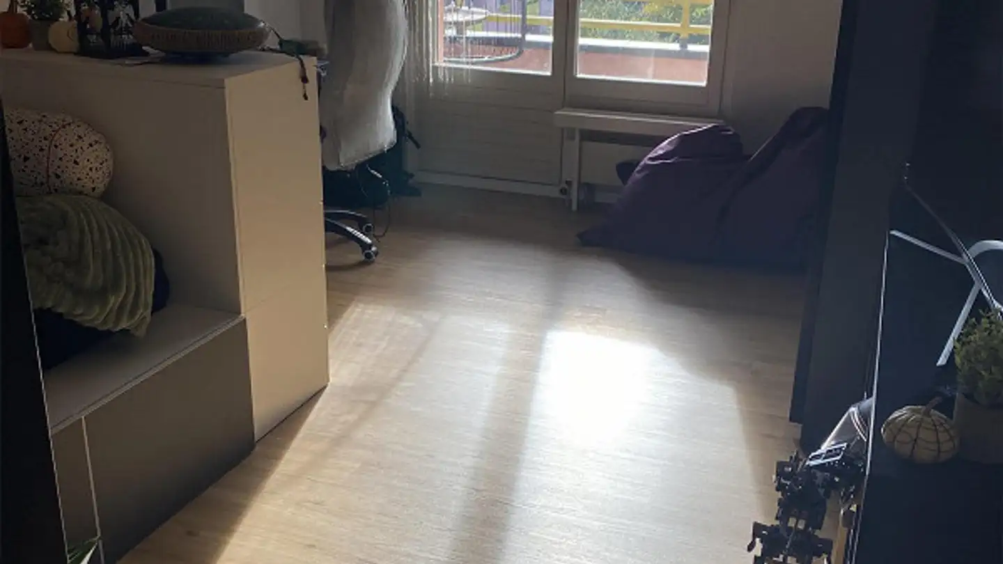 Appartamento in affitto - Feldstandstrasse 14, 8590 Romanshorn - Photo 3