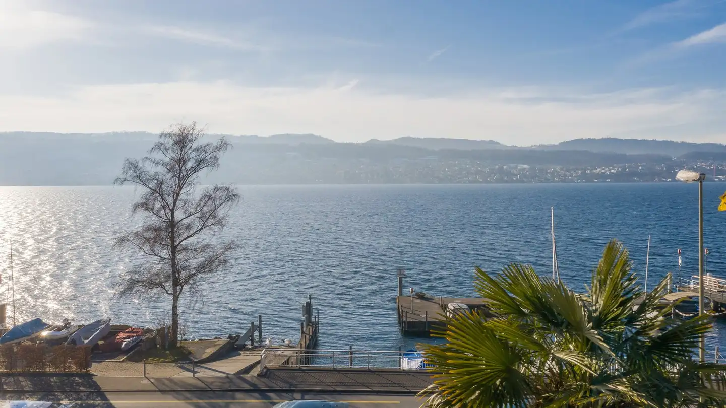 Constructible plot for sale - 8704 Herrliberg