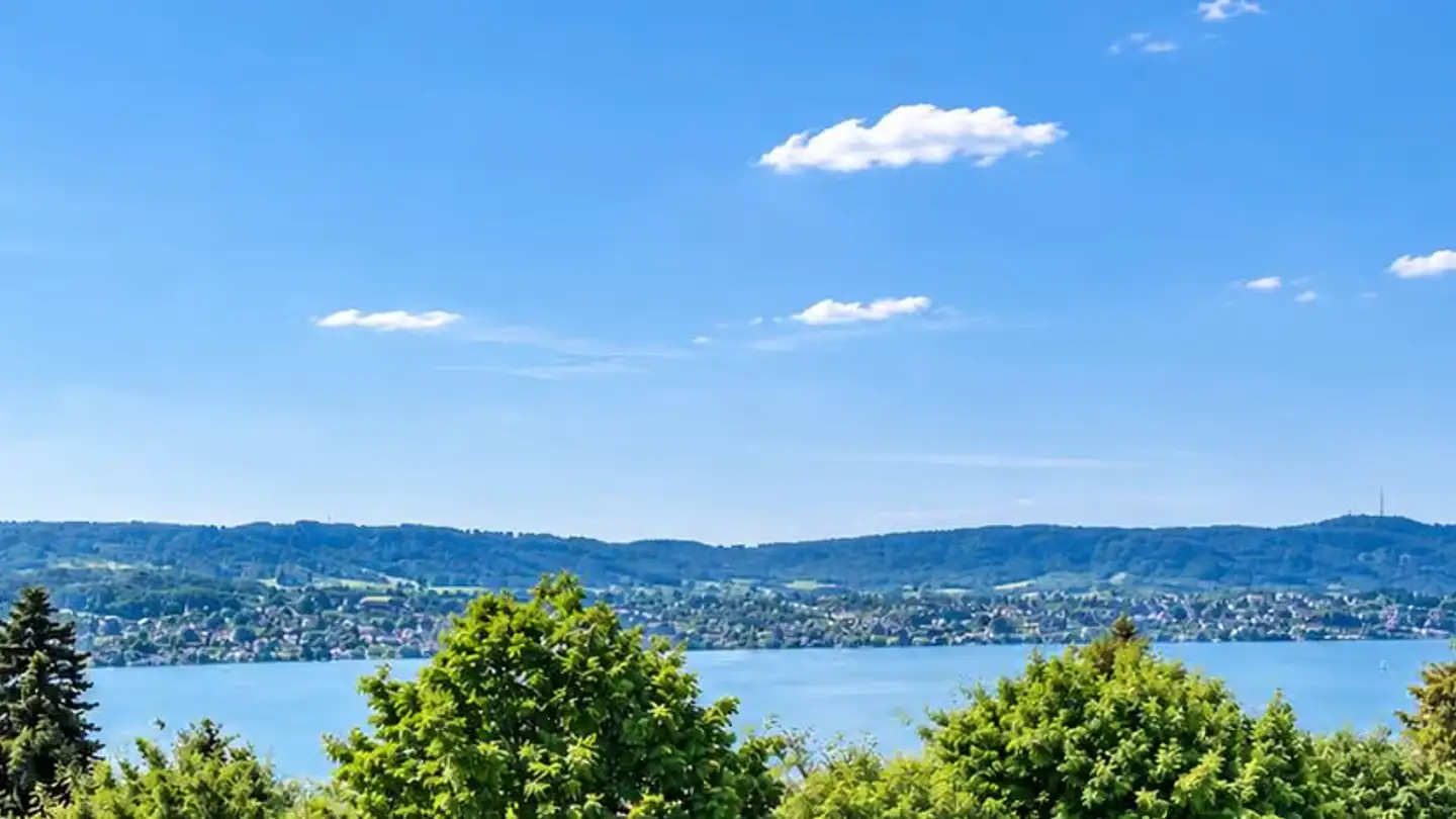 Maison individuelle à vendre - 8700 Küsnacht ZH