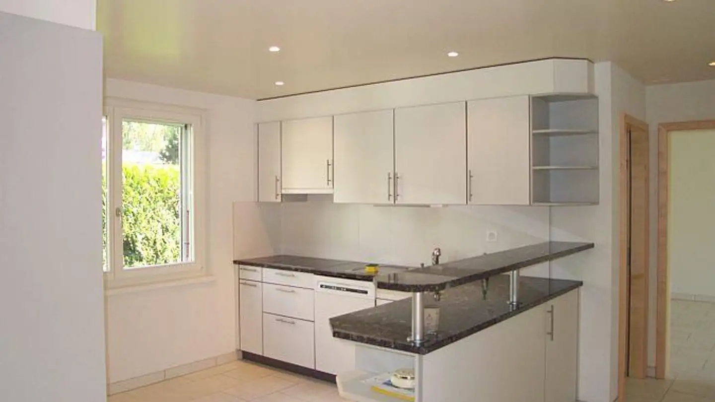 Casa singola in affitto - Chemin Édouard-Sarasin, 1218 Le Grand-Saconnex - Photo 4