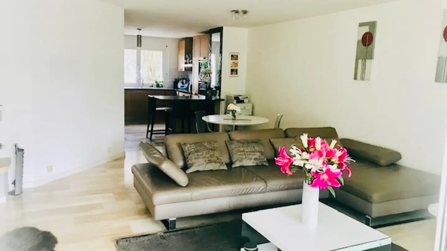 Casa a schiera in affitto - 1292 Chambésy - Foto 3